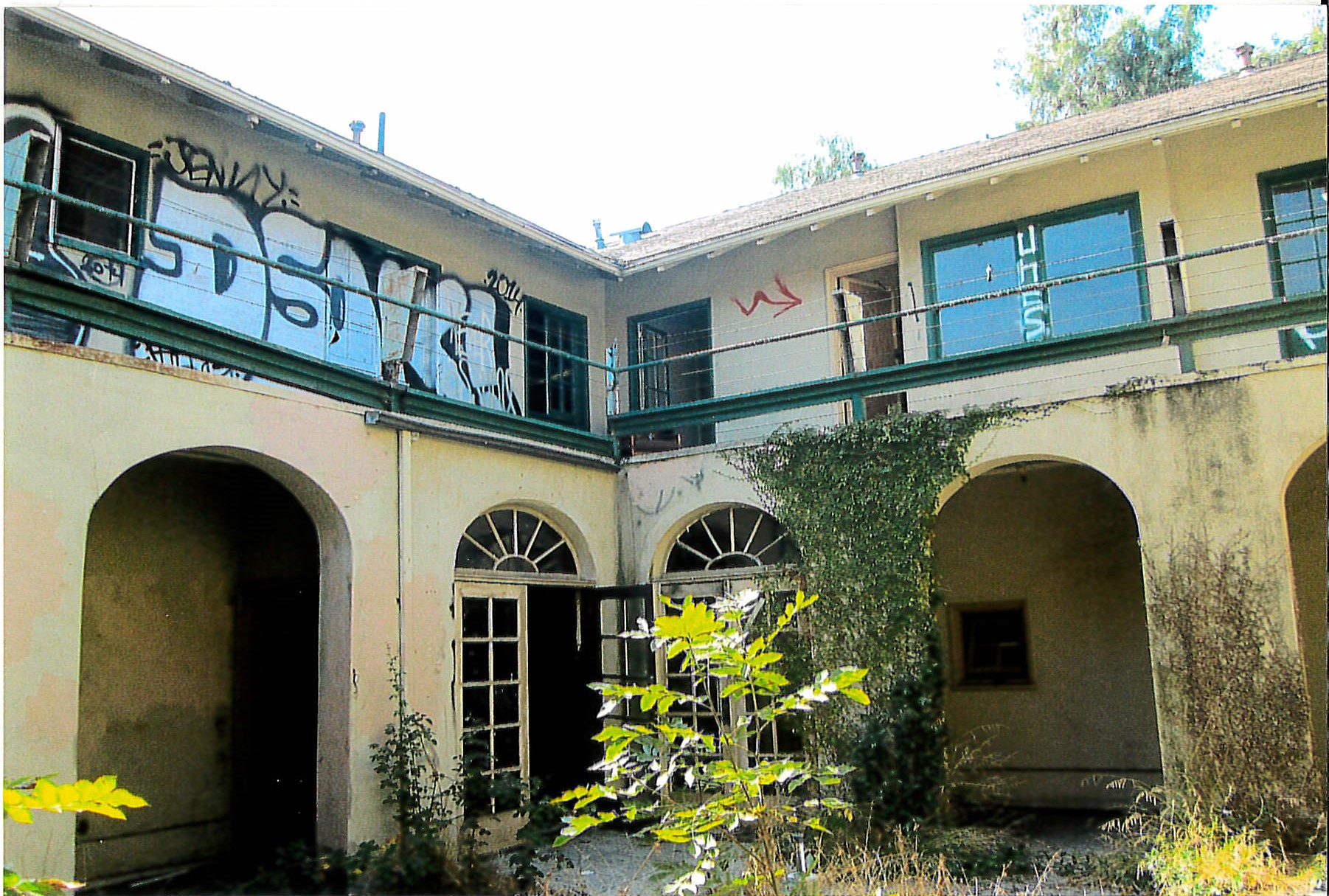 Overgrown and graffitied courtyard